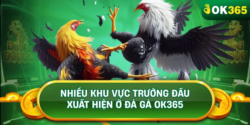 NHIỀU KHU VỰC TRƯỜNG ĐẤU XUẤT HIỆN Ở ĐÁ GÀ OK365