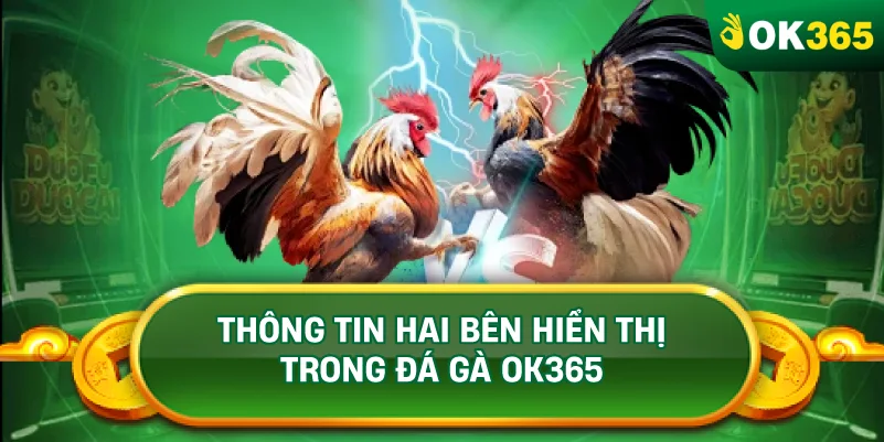THÔNG TIN HAI BÊN HIỂN THỊ TRONG ĐÁ GÀ OK365