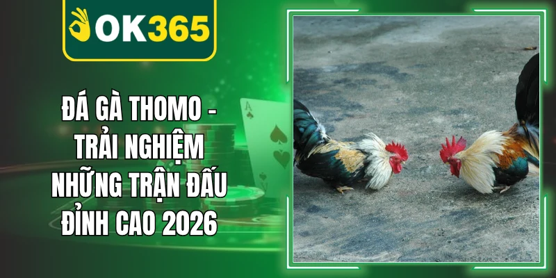 Đá Gà Thomo – Trải Nghiệm Những Trận Đấu Đỉnh Cao 2026